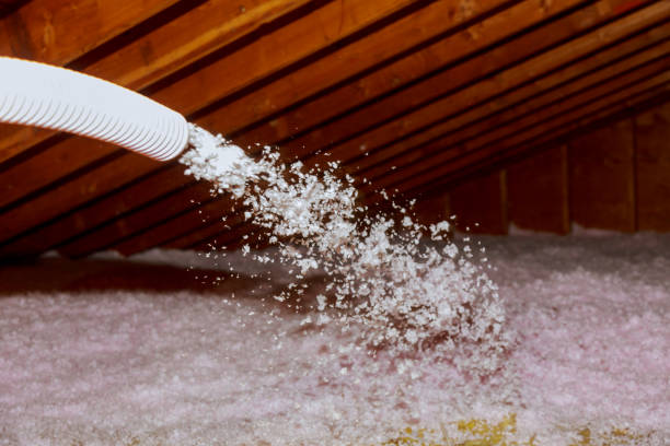 Best Crawl Space Insulation  in Red Hill, SC