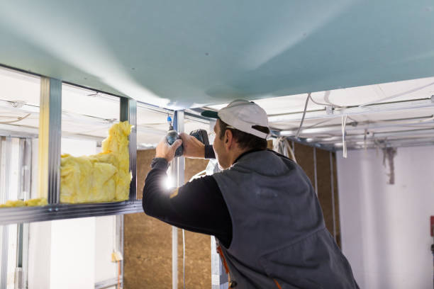 Best Residential Insulation Services  in Red Hill, SC