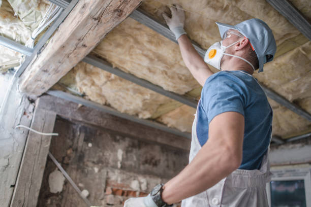 Best Fiberglass Insulation  in Red Hill, SC