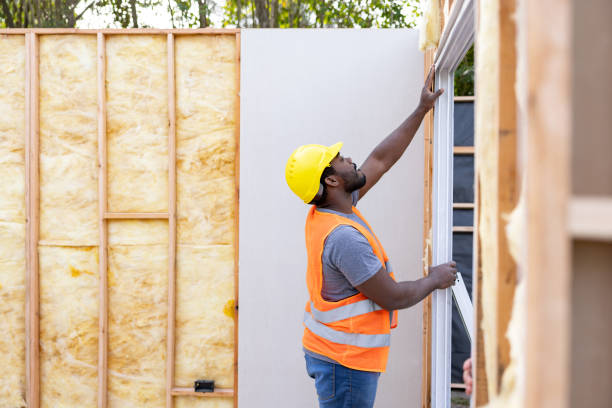 Best Energy-efficient Insulation  in Red Hill, SC