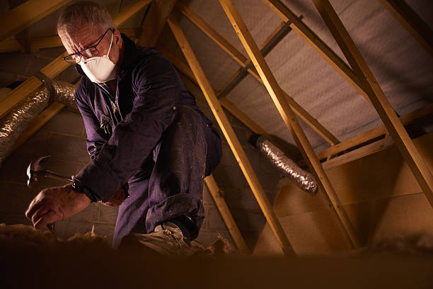Best Home Insulation Services  in Red Hill, SC