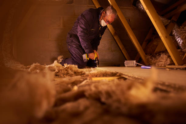 Best Insulation for New Construction  in Red Hill, SC