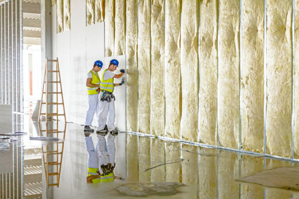 Best Insulation Repair Services  in Red Hill, SC
